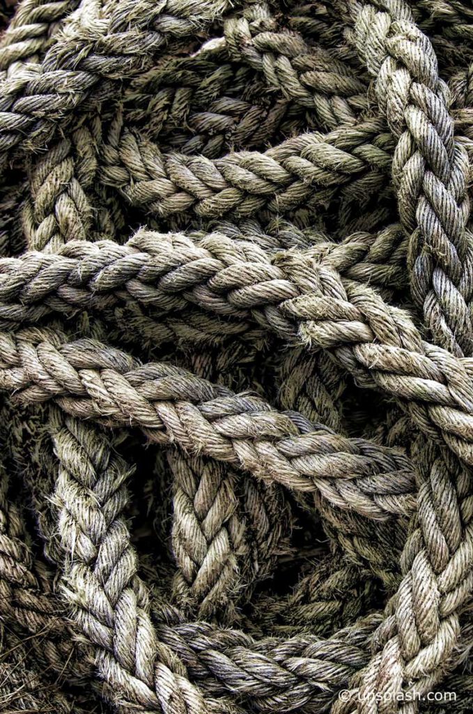 Organisationsentwicklung